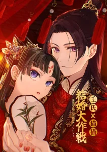 猫猫と壬氏：結婚への思いと不安 - 壬氏を見つめる猫猫のイラスト