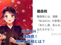 BLEACHの雛森桃は本当に死亡した？衝撃の真相と知られざる運命アイキャッチ