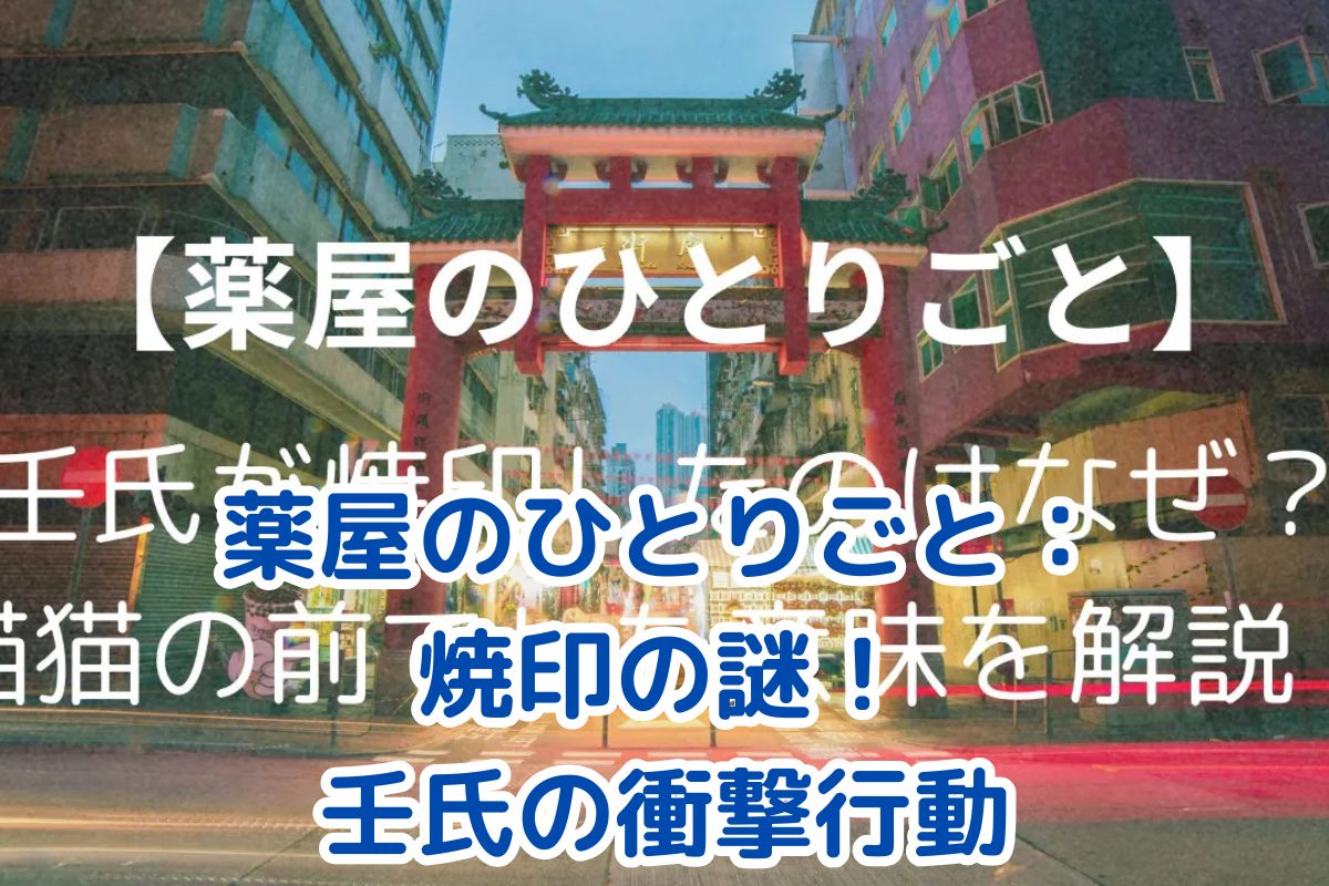 薬屋のひとりごと：焼印の衝撃！壬氏の行動が物語にもたらす7つの影響とは？アイキャッチ