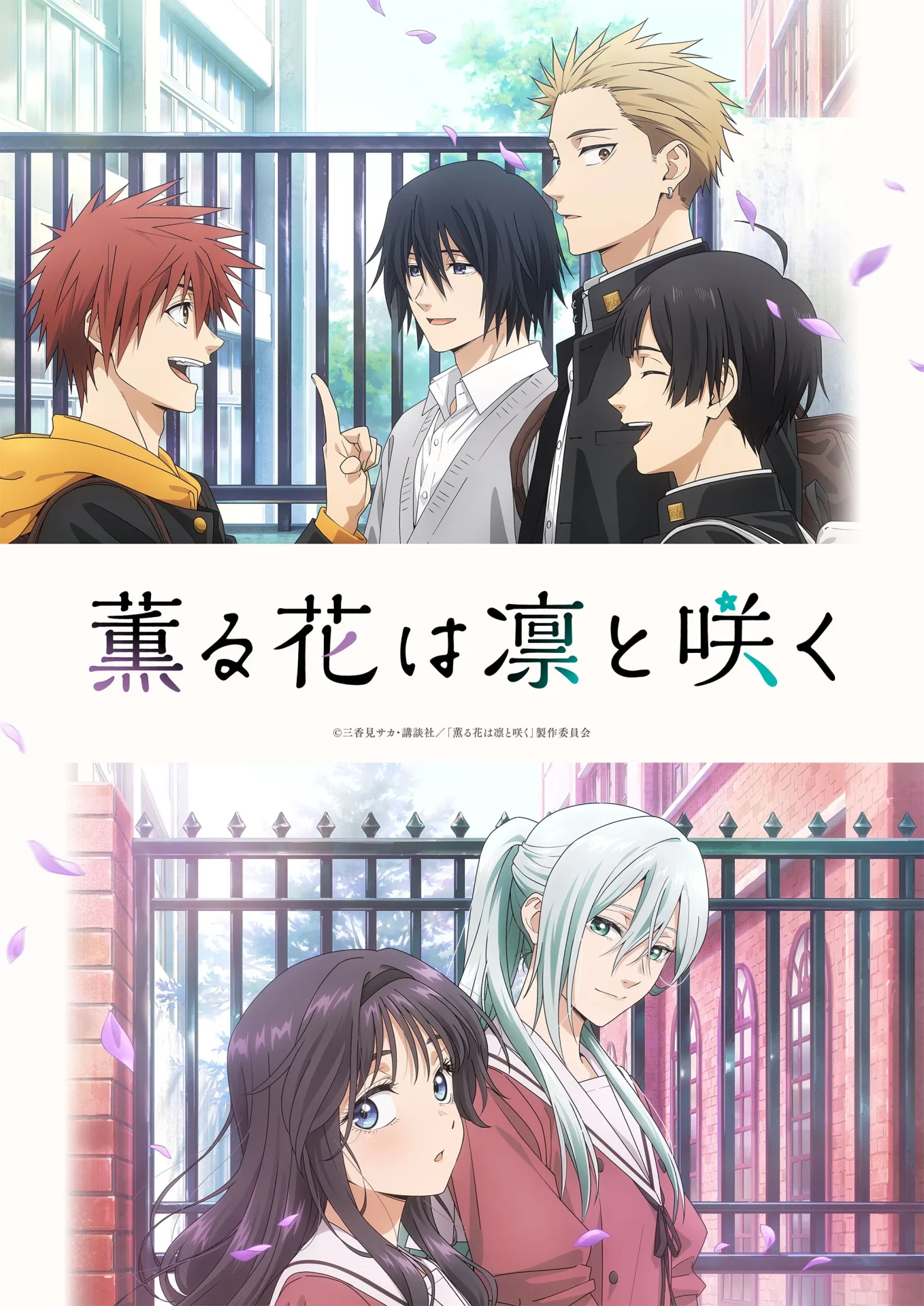 薫る花は凛と咲く 身長で見るキャラの魅力

